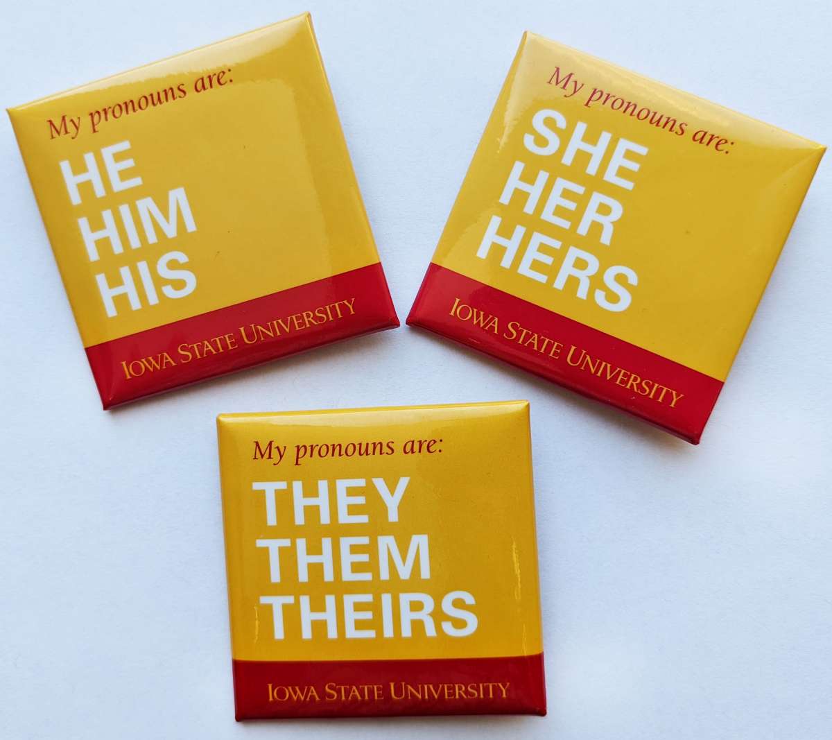 Pronoun buttons reading he him his, she her hers, and they them, theirs.